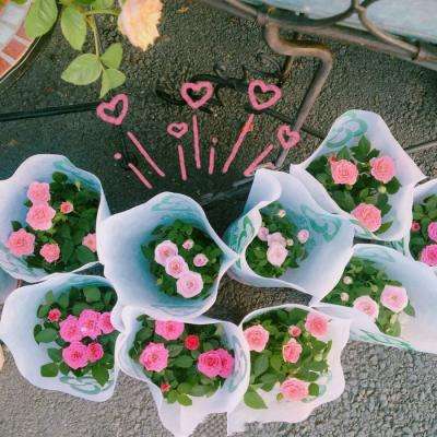 万博ManBetX登录网页版截图