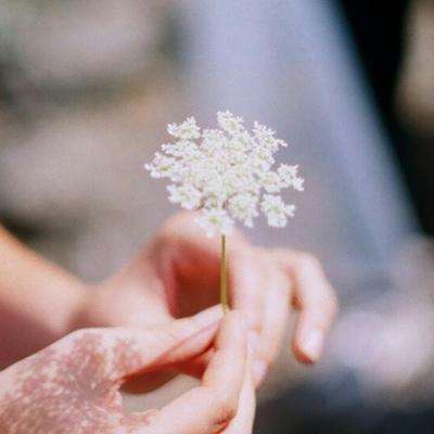 365体育手机版入口