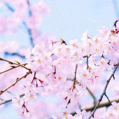 beat365中国在线体育手机app下载