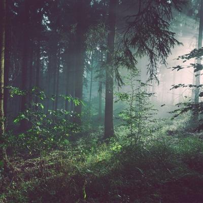 神彩争霸8下载手机版